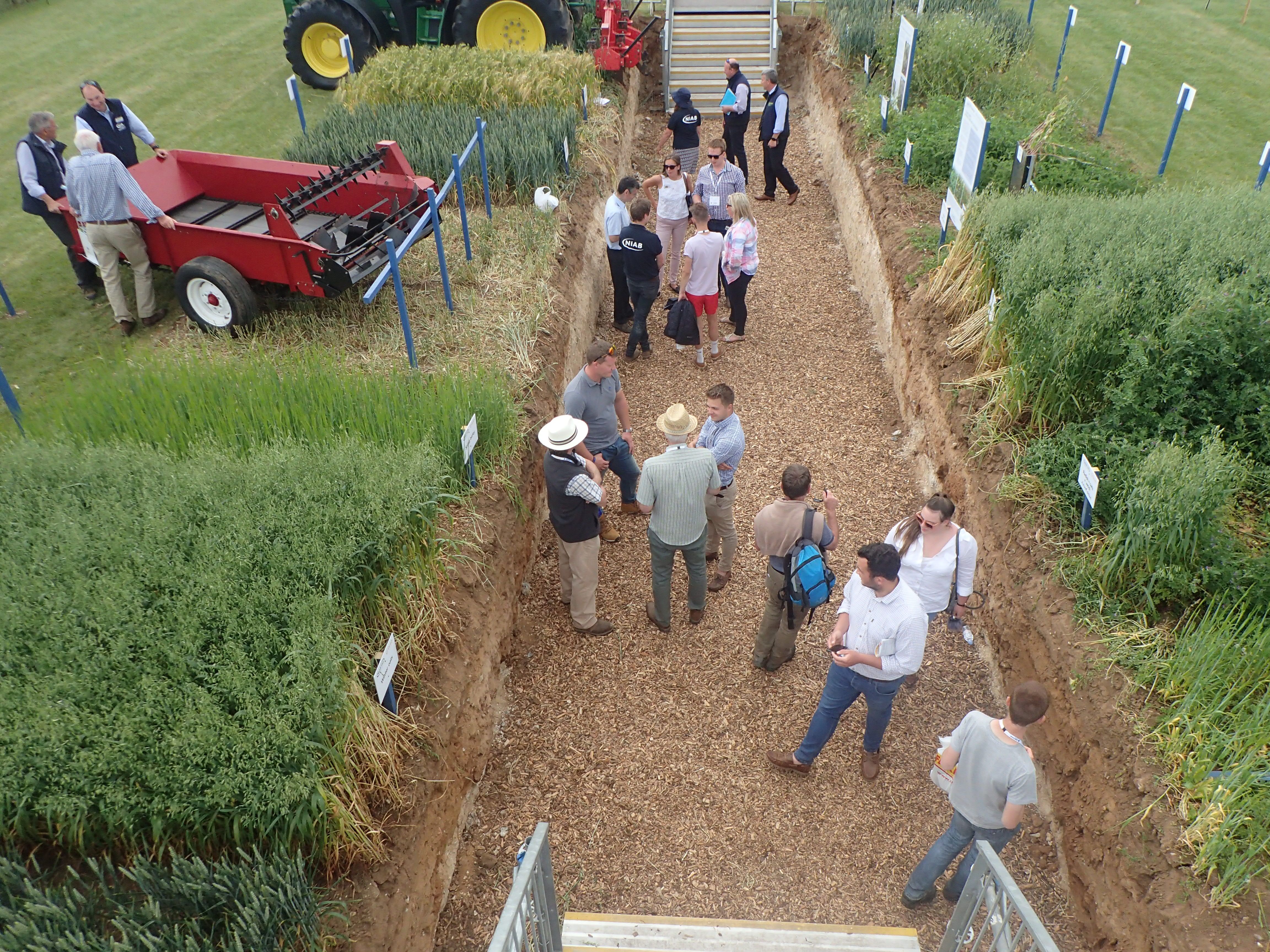 Picture of attendees in the NIAB Soil Hole Cereals 2019